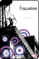 Hawkeye by Matt Fraction & David Aja
